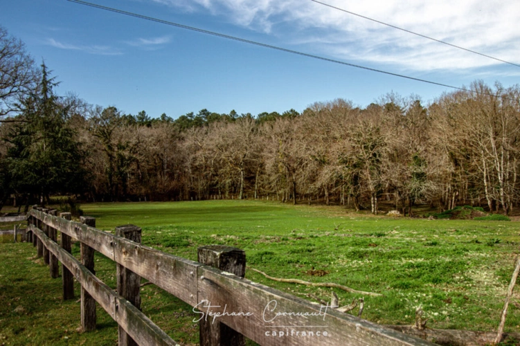 Photos 21 - Équestre - Propriété équestre en pleine nature