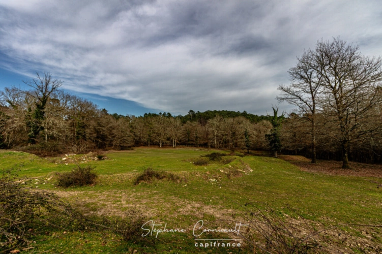 Photos 22 - Équestre - Propriété équestre en pleine nature