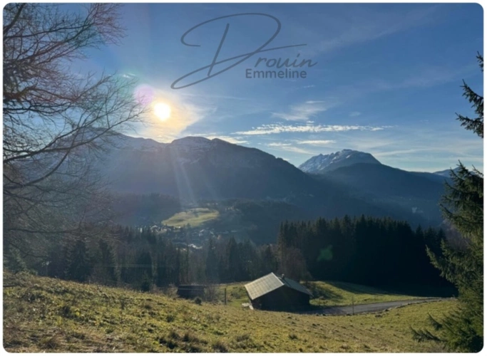 Photos 3 - Agricultural - Ensemble de parcelles agricoles ARACHES LA FRASSE (74)