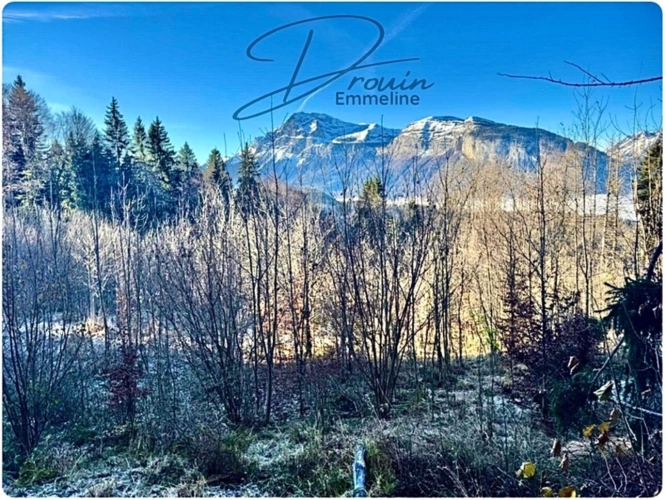 Photos 4 - Agricultural - Ensemble de parcelles agricoles ARACHES LA FRASSE (74)