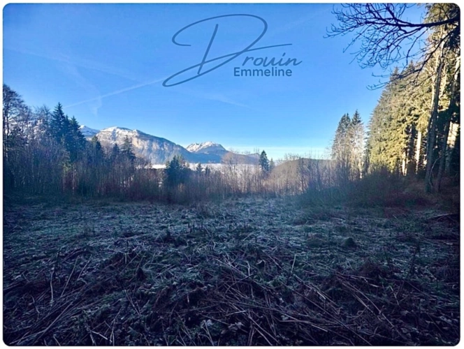 Photos 5 - Agricultural - Ensemble de parcelles agricoles ARACHES LA FRASSE (74)