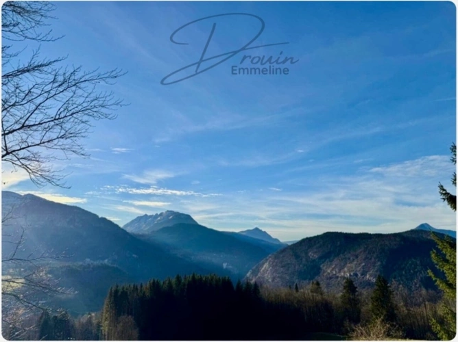 Photos 6 - Agricultural - Ensemble de parcelles agricoles ARACHES LA FRASSE (74)