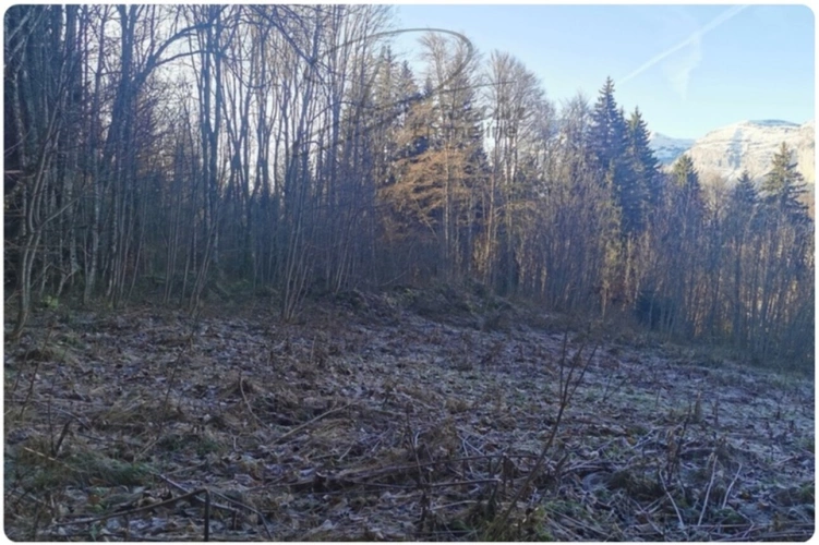 Photos 7 - Agricultural - Ensemble de parcelles agricoles ARACHES LA FRASSE (74)