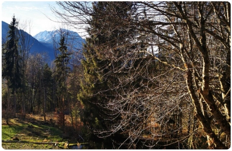 Photos 8 - Agricultural - Ensemble de parcelles agricoles ARACHES LA FRASSE (74)