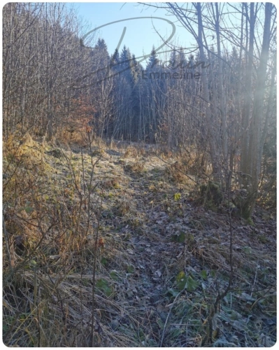 Photos 9 - Agricultural - Ensemble de parcelles agricoles ARACHES LA FRASSE (74)