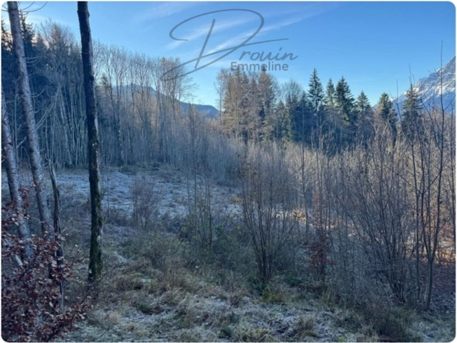 Photos 11 - Agricultural - Ensemble de parcelles agricoles ARACHES LA FRASSE (74)