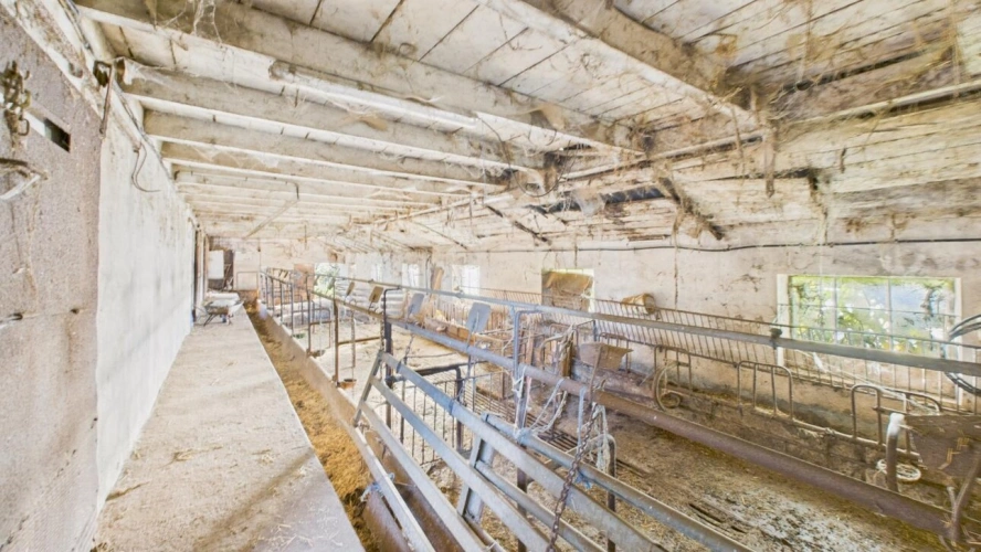 Photos 16 - Équestre - Maison