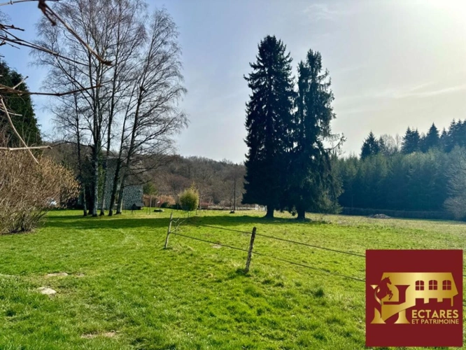 Photos 7 - Équestre - Propriété clé en main avec 6,2 ha et rivière