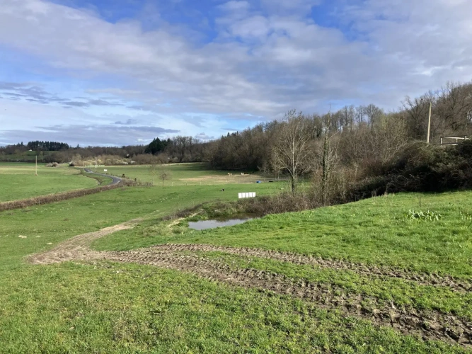 Photos 4 - Équestre - Centre équestre avec habitation