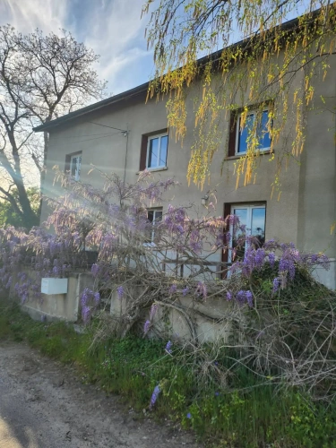 Photos 5 - Équestre - Centre équestre avec habitation