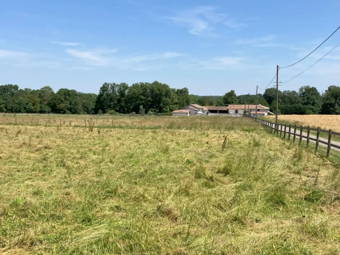 Photos 1 - Équestre - Ecurie d'entrainement avec plusieurs habitations