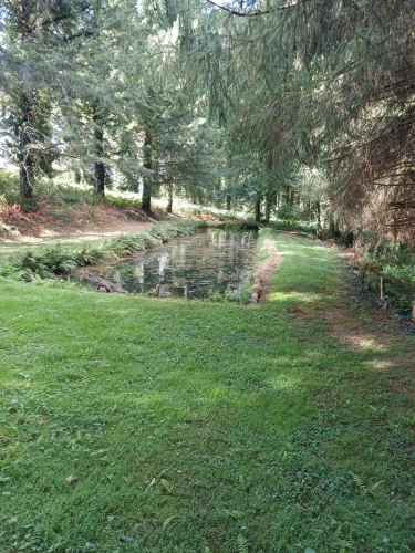 Photos 10 - Forestière - Propriété forestière entre Périgord et Limousin
