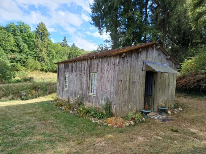 Photos 13 - Forestière - Propriété forestière entre Périgord et Limousin