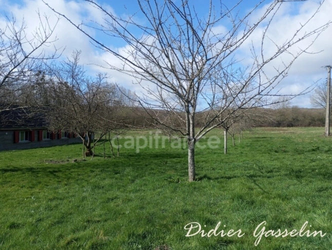 Photos 11 - Rurale - Propriete à vendre 5 pièces proche de THIRON GARDAIS (28)