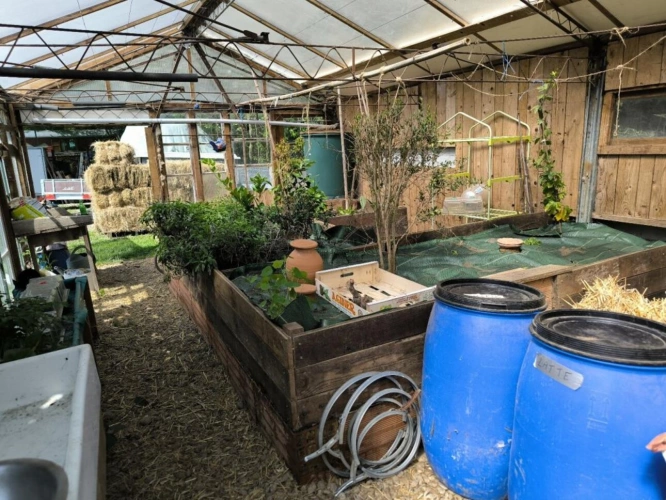 Photos 19 - Prestige - Propriété