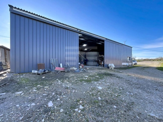 Photos 11 - Rurale - Propriété