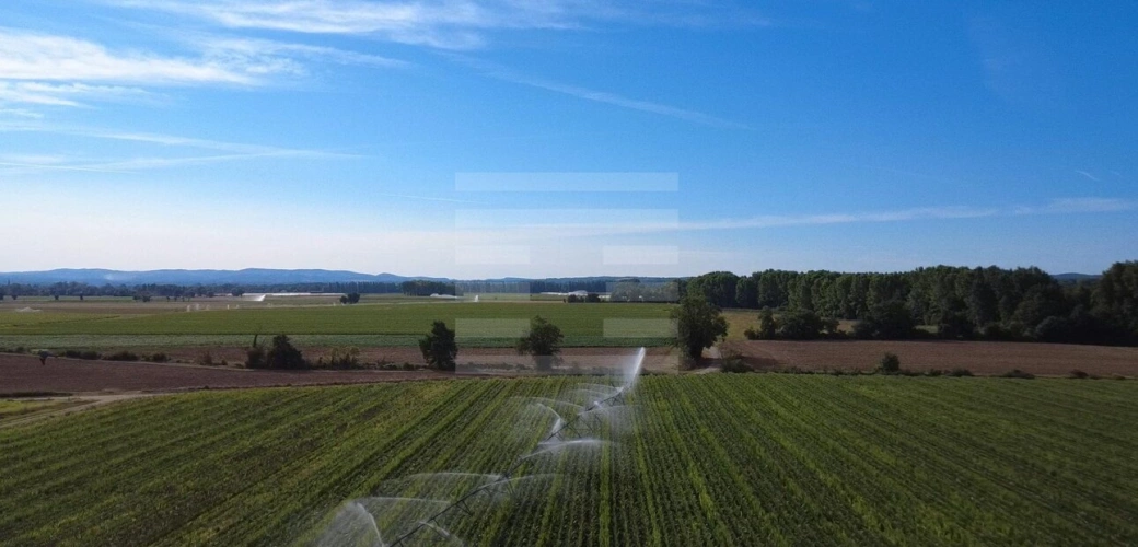 Photos 3 - Agricole - Propriété agricole