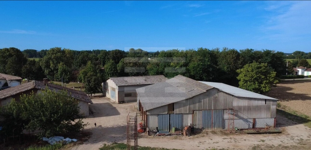 Photos 6 - Agricole - Propriété agricole