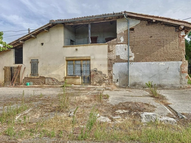 Photos 7 - Agricole - Propriété agricole