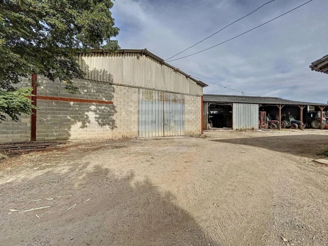 Photos 8 - Agricole - Propriété agricole