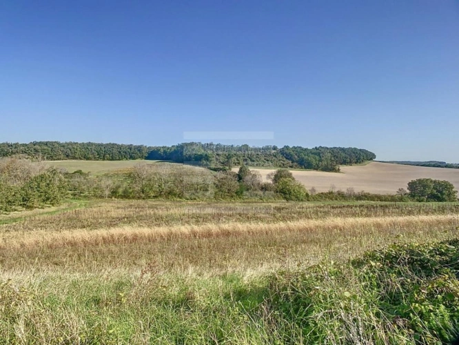 Photos 9 - Agricultural - Farming property