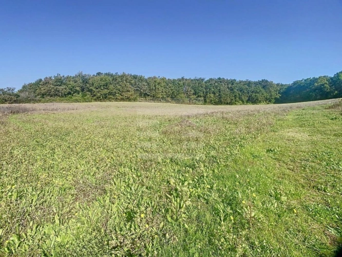 Photos 12 - Agricultural - Farming property