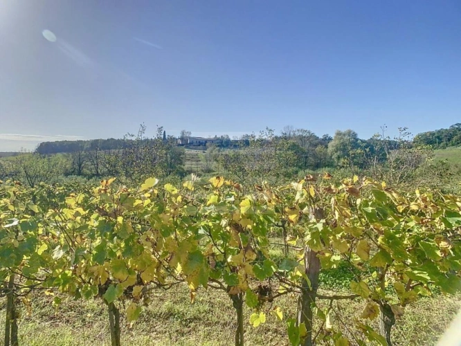 Photos 13 - Agricultural - Farming property