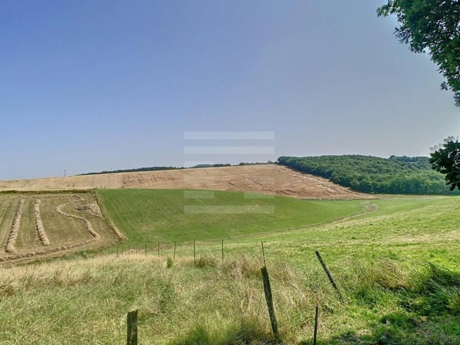 Photos 2 - Agricole - Propriété agricole