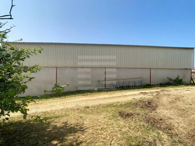 Photos 12 - Agricole - Propriété agricole