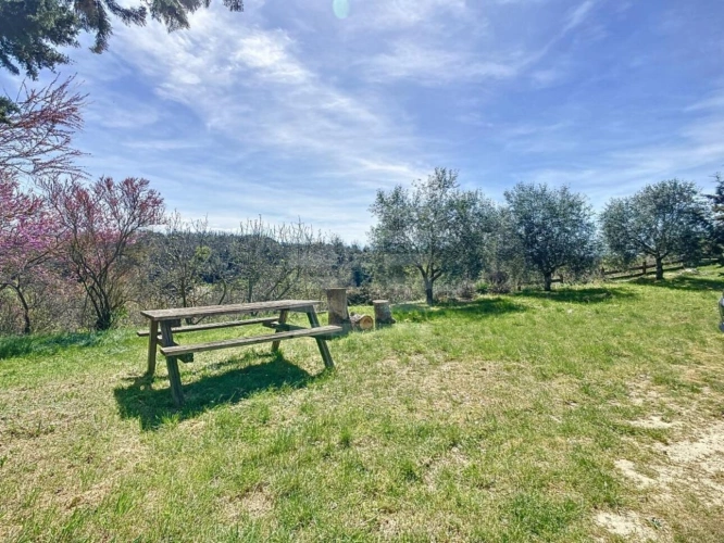 Photos 19 - Prestige - Domaine