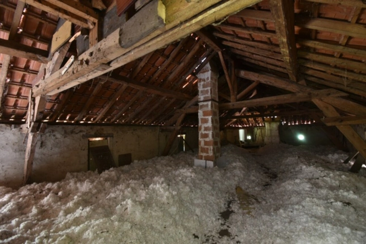 Photos 18 - Rurale - Dpt Lot et Garonne (47), à vendre DAMAZAN corps de ferme en pierres  275m2 maison, grange, maison de palefrenier