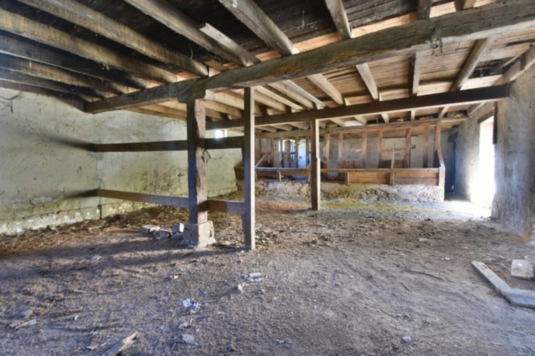 Photos 19 - Rurale - Dpt Lot et Garonne (47), à vendre DAMAZAN corps de ferme en pierres  275m2 maison, grange, maison de palefrenier