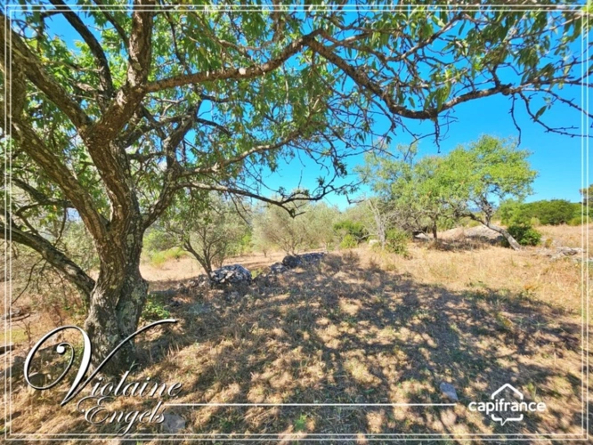 Photos 7 - Touristique - Siran – Domaine de 36 hectares avec bâtiments restaurés – idéal projet touristique, équestre ou agricole