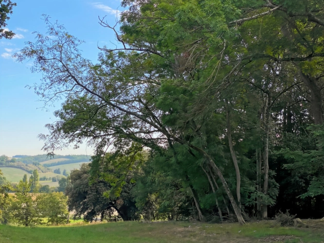 Photos 38 - Rurale - Propriété à vendre 9 pièces RIGUEPEU (32) - 315 m2 - 1,9 hectares