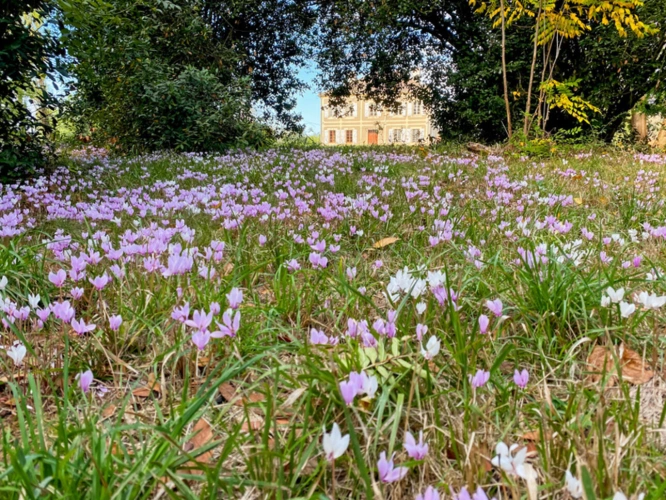 Photos 39 - Rurale - Propriété à vendre 9 pièces RIGUEPEU (32) - 315 m2 - 1,9 hectares