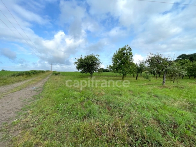 Photos 3 - Agricultural - 12,000 m² of agricultural land with an apple orchard – nature and tranquility – Nivillac
