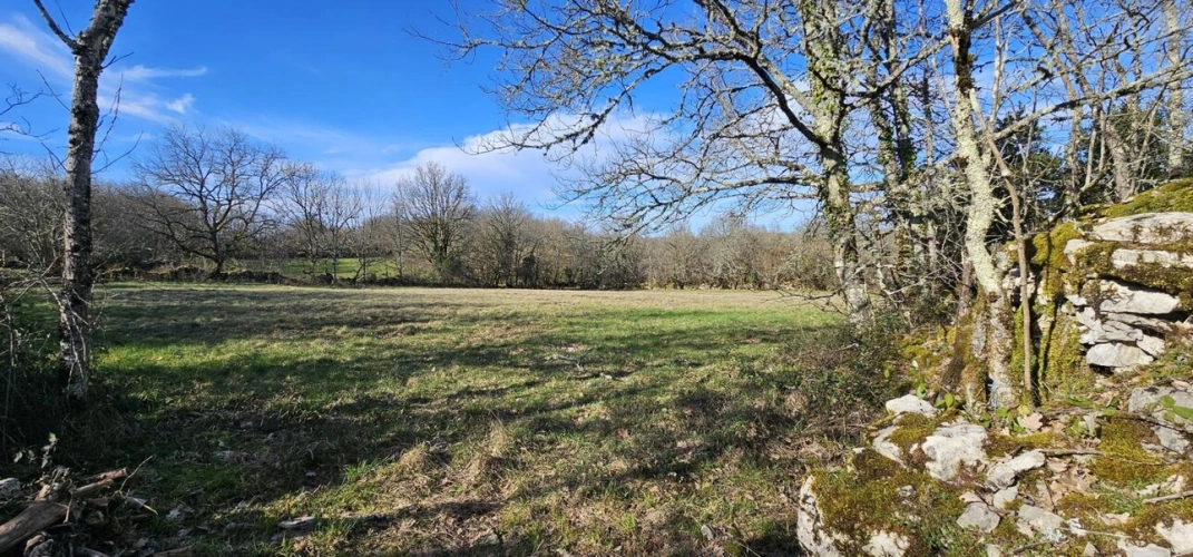 Photos 4 - Rurale - Maison de campagne