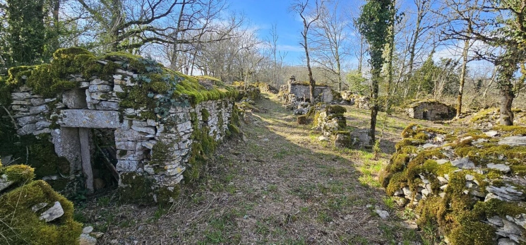 Photos 18 - Rurale - Maison de campagne