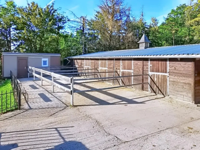 Photos 5 - Équestre - Propriété équestre à proximité des frontières Luxembourgeoises et Allemandes