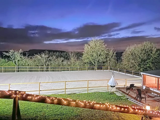 Photos 7 - Équestre - Propriété équestre à proximité des frontières Luxembourgeoises et Allemandes