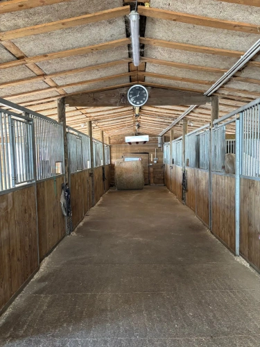 Photos 10 - Équestre - Propriété équestre à proximité des frontières Luxembourgeoises et Allemandes