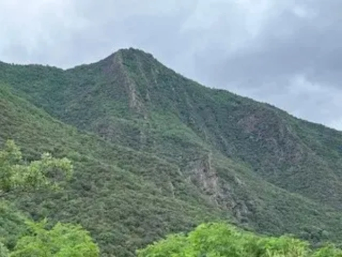 Photos 1 - Forestière - Propriété de 308 ha dans les Pyrénées Orientales