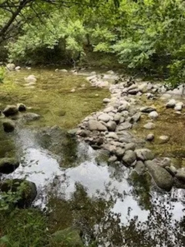 Photos 2 - Forestière - Propriété de 308 ha dans les Pyrénées Orientales