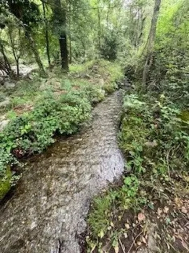 Photos 4 - Forestière - Propriété de 308 ha dans les Pyrénées Orientales