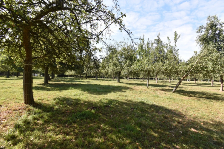 Photos 23 - Rurale - Propriété