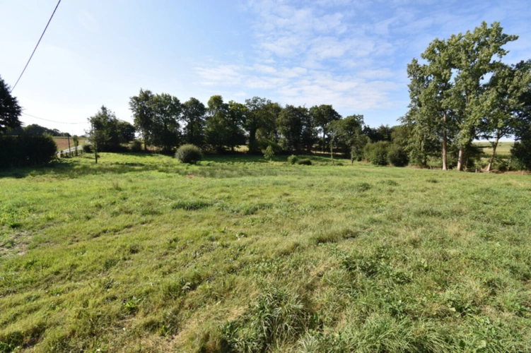 Photos 25 - Rurale - Propriété