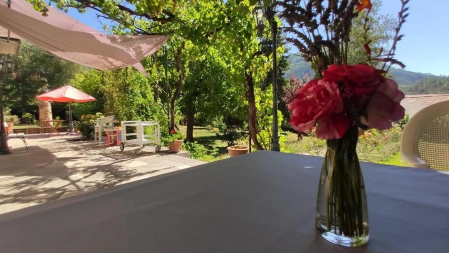 Photos 2 - Prestige - Maison de Maître  avec terrain