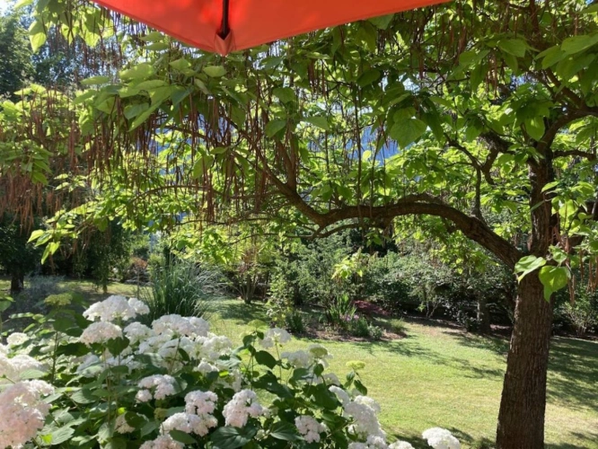 Photos 12 - Prestige - Maison de Maître  avec terrain