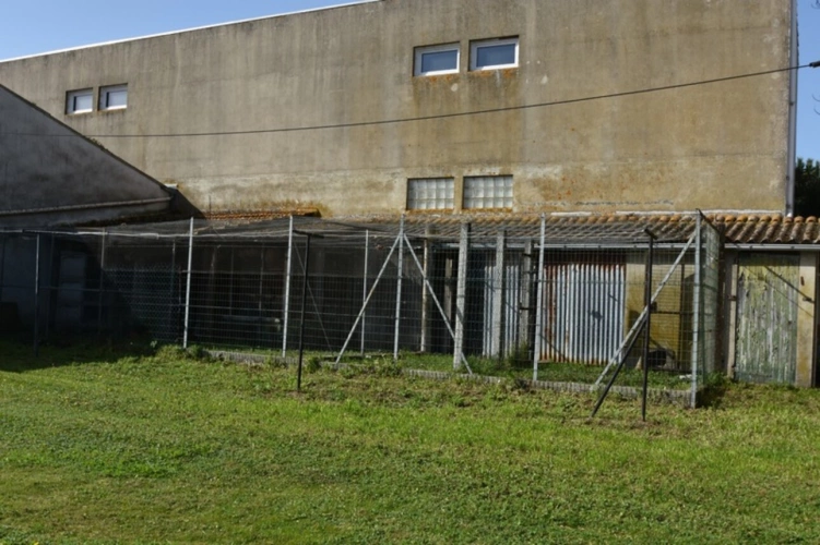 Photos 17 - Rurale - Dpt Charente Maritime (17), Ile d'Oléron, à vendre Ensemble immobilier, 6 pièces, dépendances, sur 1456 m², proche de st pierre d'Oléron