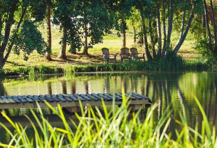 Photos 9 - Prestige - Domaine de 41 hectares, maison de maître et installations équestres en Périgord Vert